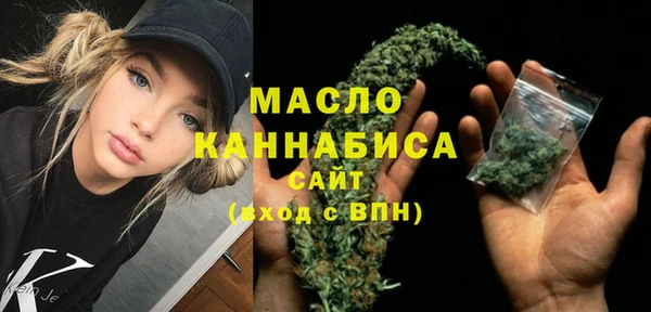 крисы Туринск