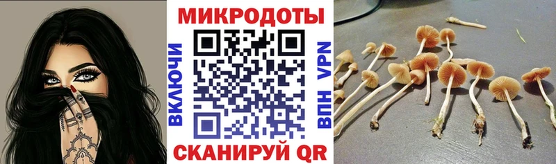 Галлюциногенные грибы мицелий  Заозёрск 